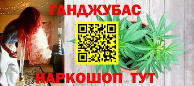 крисы Партизанск