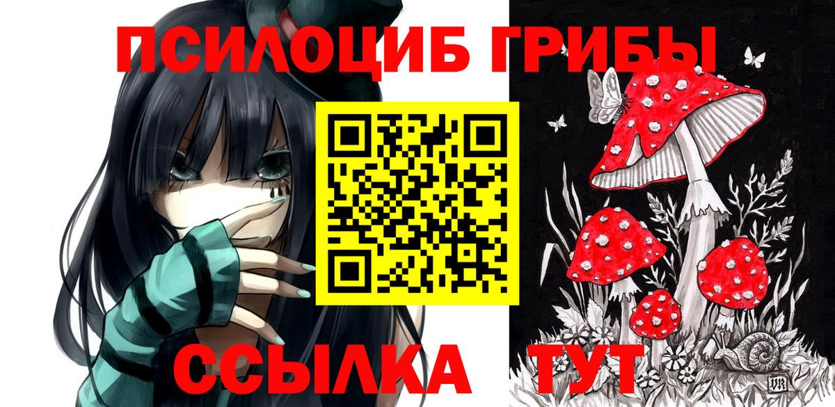 Псилоцибиновые грибы Psilocybe Славянск-на-Кубани