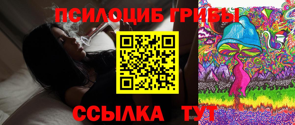 как найти   Вход с VPN  Славянск-на-Кубани  Галлюциногенные грибы Cubensis  Псилоцибиновые грибы Magic Shrooms 